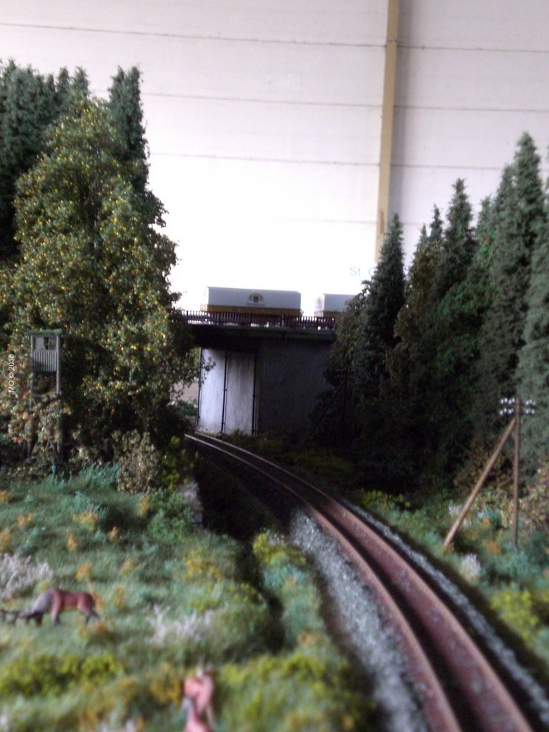 CIMG2006