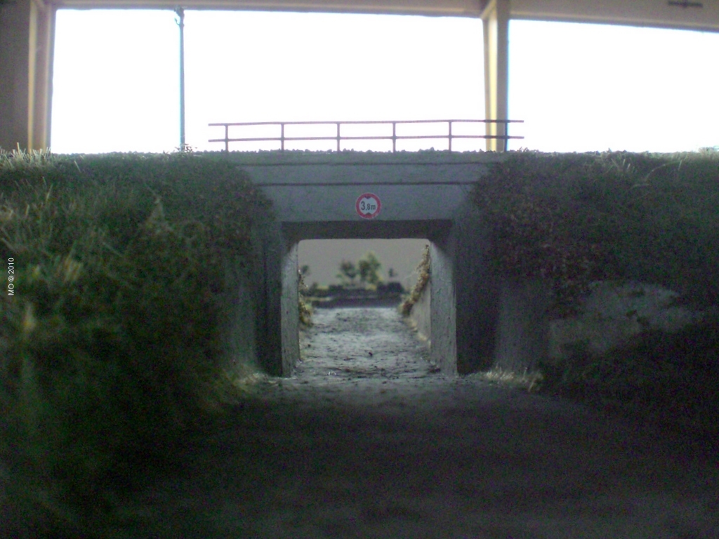 CIMG2007