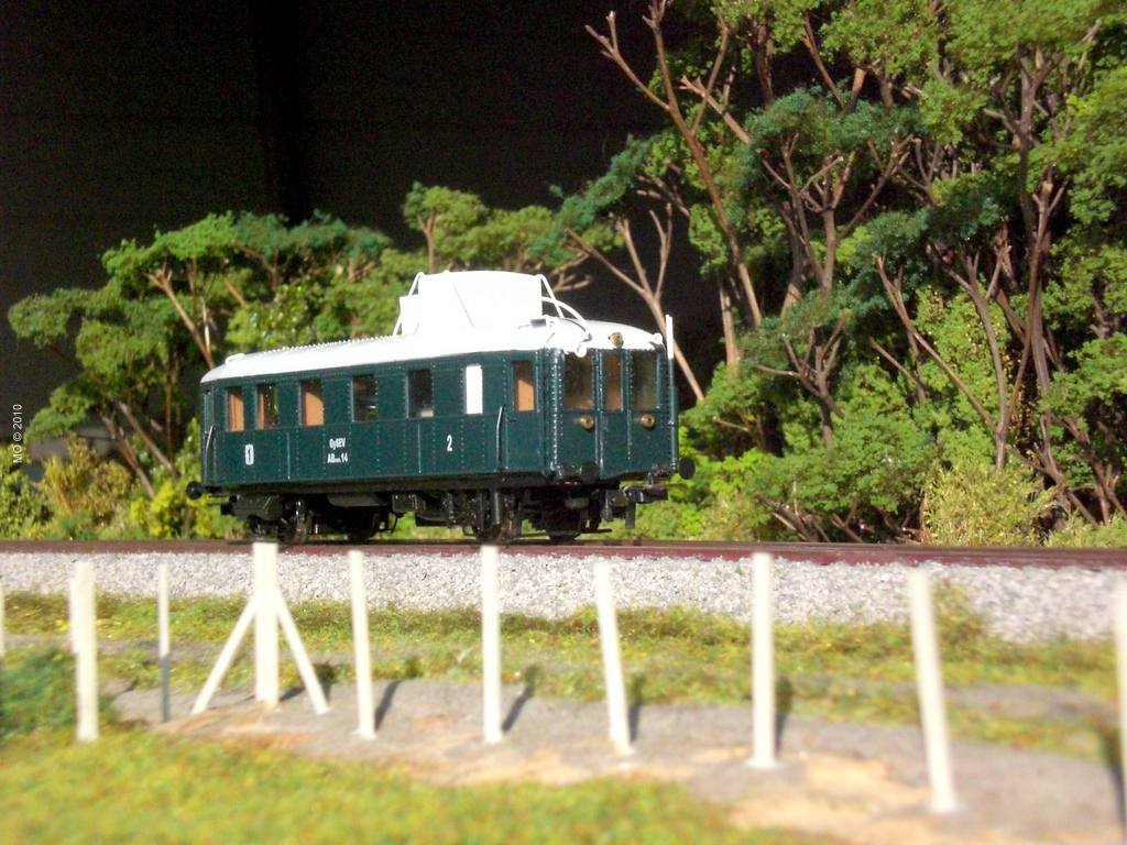 CIMG2009