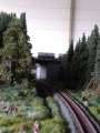 CIMG2006