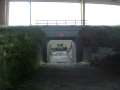 CIMG2007