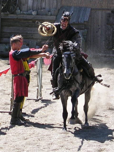 P1010020_klein