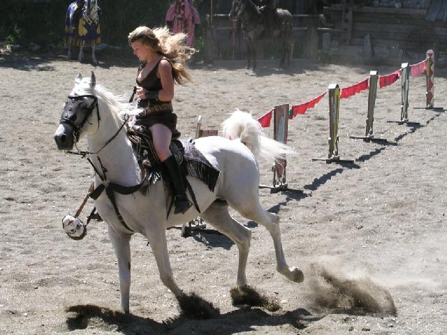 P1010023_klein