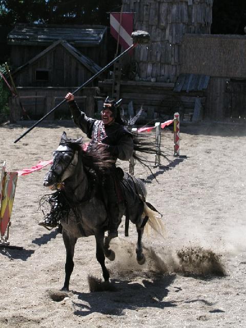P1010025_klein