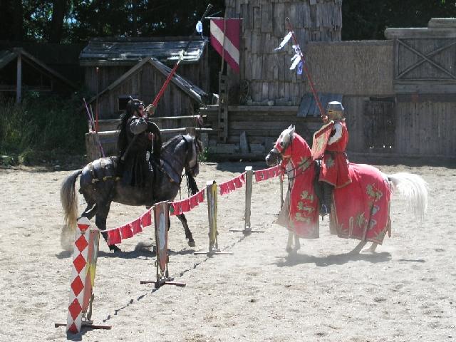 P1010048_klein
