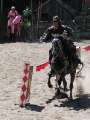 P1010016_klein